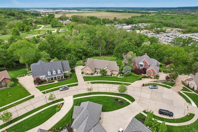 drone / aerial view
