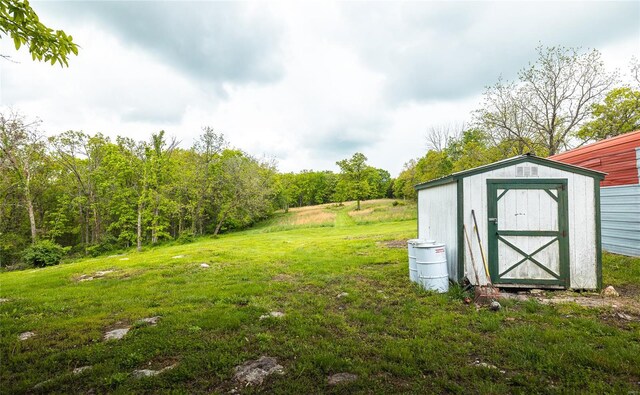 view of yard with a storage shed and an outdoor structure