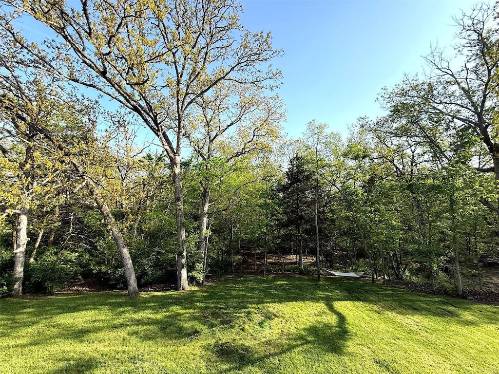 view of yard featuring a forest view