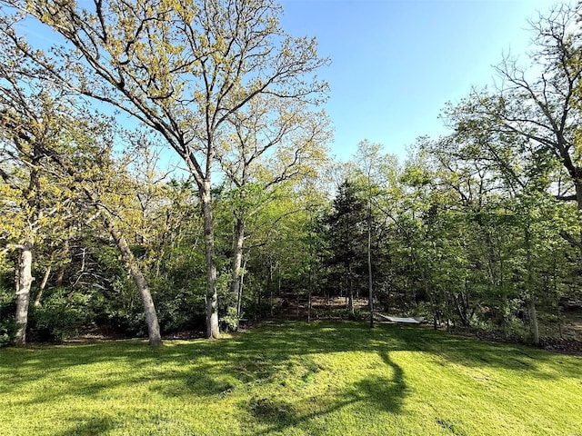 view of yard featuring a forest view