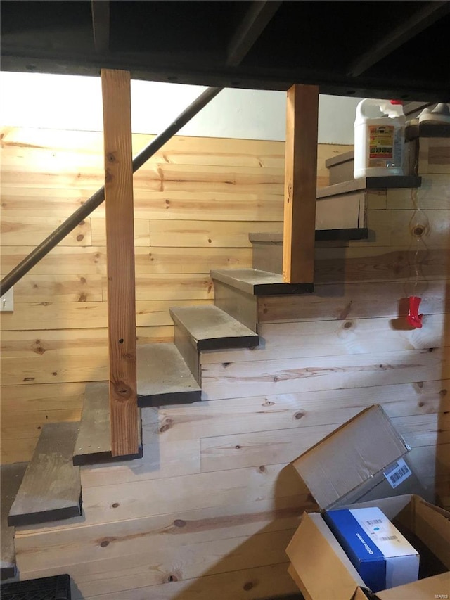 basement with wood walls