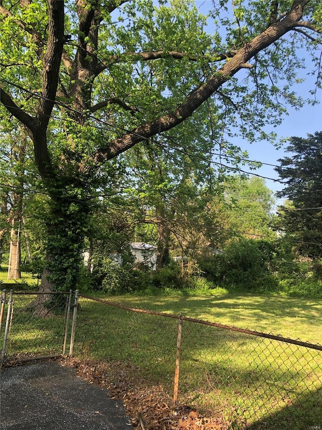 view of yard featuring fence and a gate