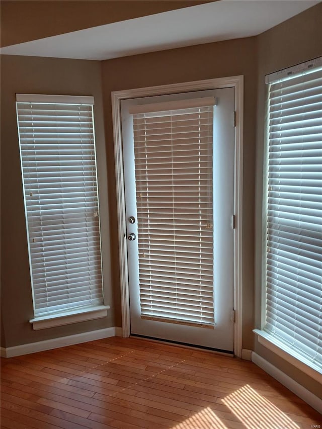 details featuring baseboards and wood finished floors