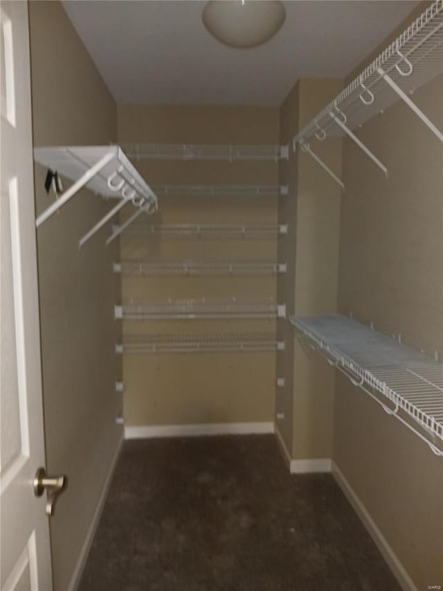 walk in closet featuring dark carpet