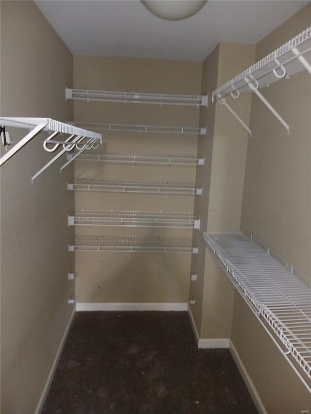 view of walk in closet