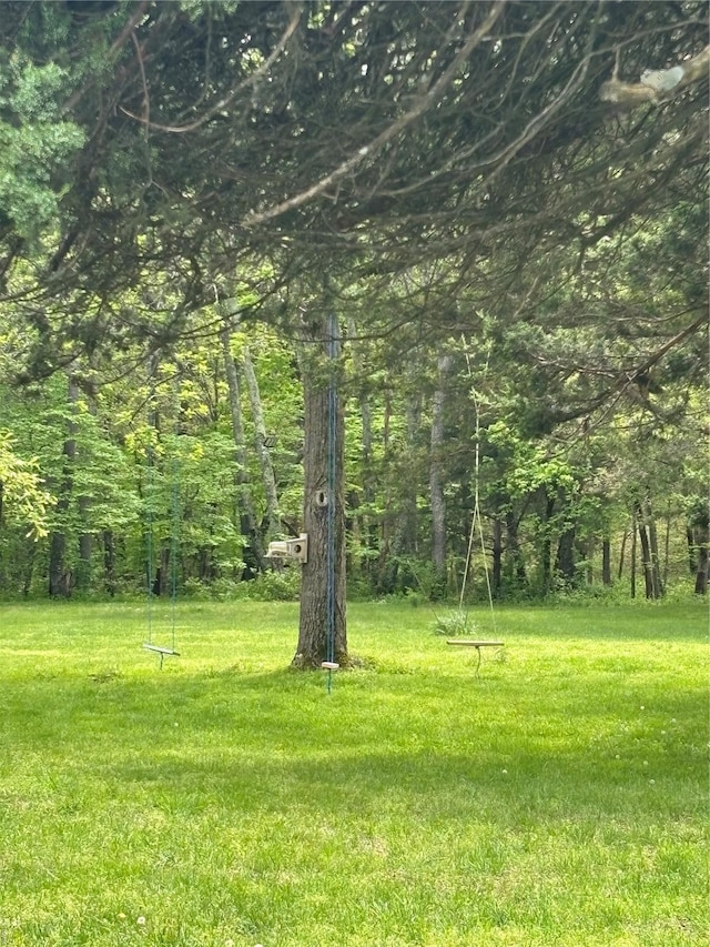 view of yard featuring a wooded view
