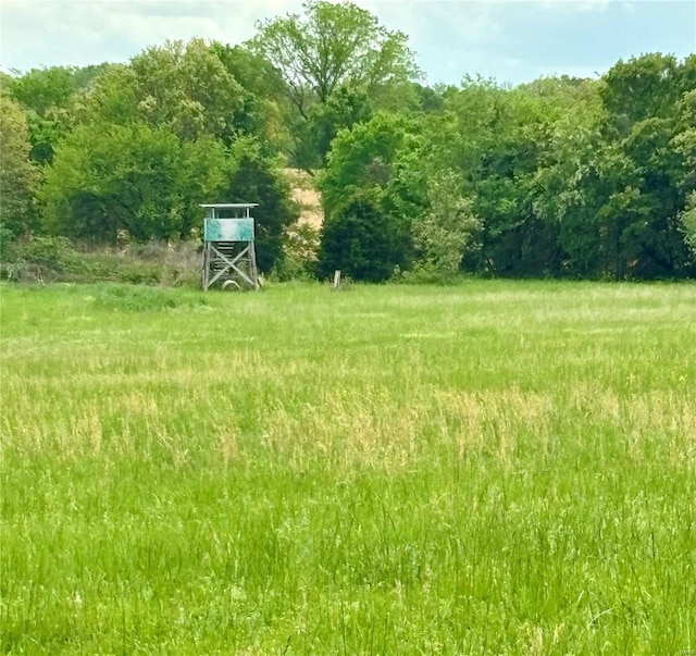 view of yard featuring a forest view