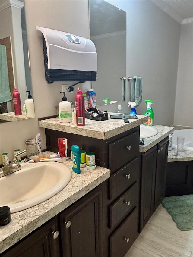 bathroom featuring ornamental molding, wood finished floors, and vanity