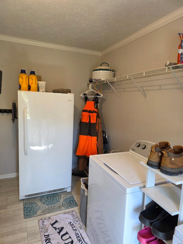 laundry room featuring laundry area, a textured ceiling, baseboards, light wood-style floors, and ornamental molding
