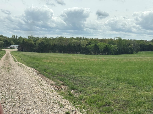 view of street featuring a view of trees, a rural view, and gravel driveway
