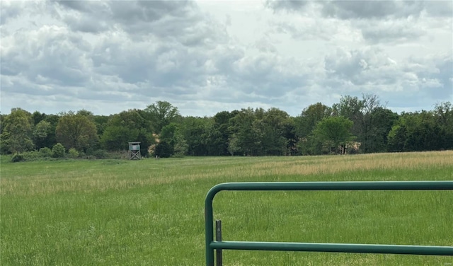 view of yard featuring a rural view