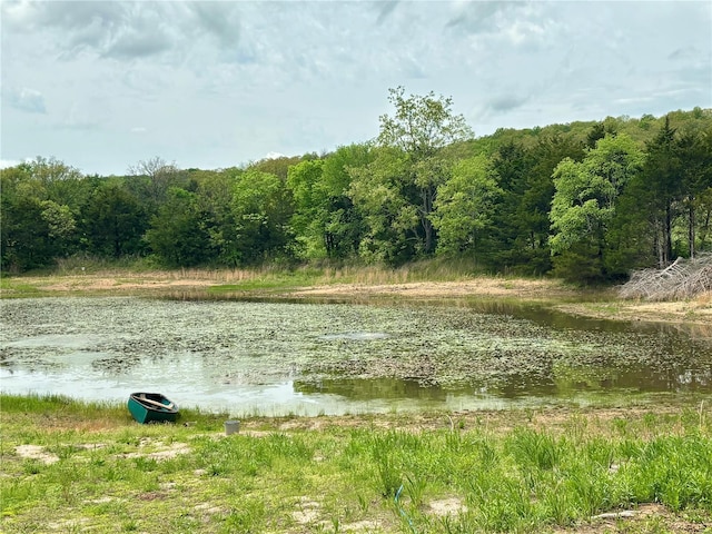 property view of water featuring a view of trees