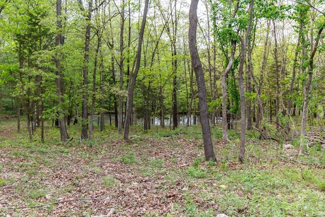view of nature with a forest view
