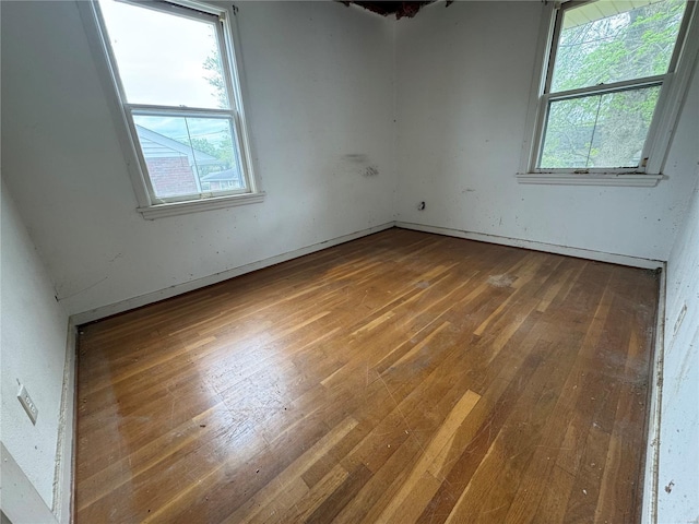 spare room with wood-type flooring and a wealth of natural light