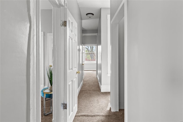 hall featuring baseboards and carpet flooring