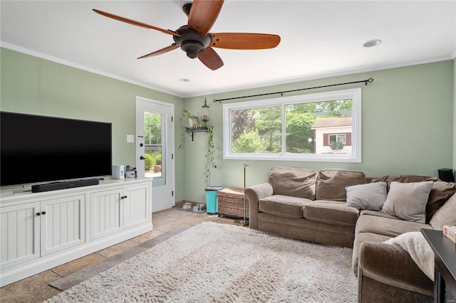 living area featuring crown molding, baseboards, ceiling fan, and stone tile floors