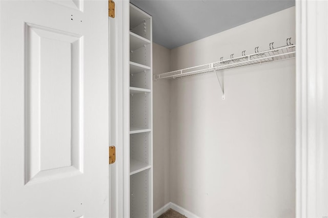 view of walk in closet