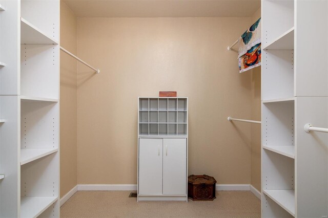 spacious closet featuring carpet