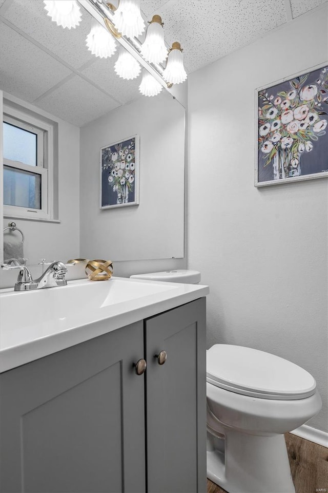 bathroom featuring vanity, toilet, and wood finished floors