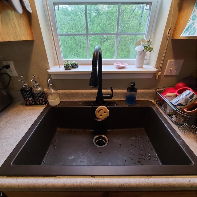 interior details featuring a sink