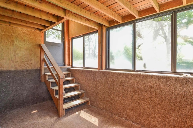 stairs with carpet floors and plenty of natural light