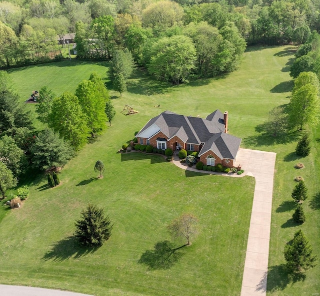 bird's eye view