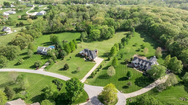 bird's eye view
