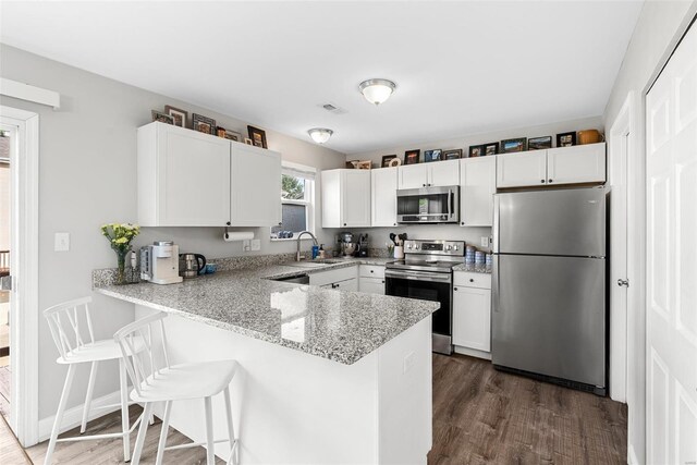 kitchen with dark wood-style flooring, stainless steel appliances, a sink, and a peninsula