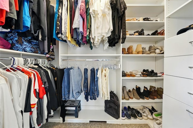 view of spacious closet