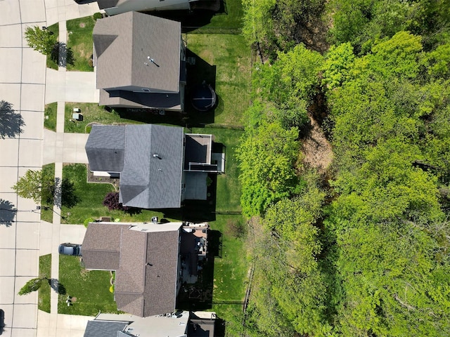 bird's eye view