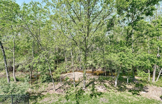 view of local wilderness