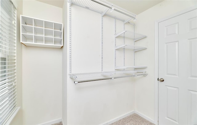 walk in closet featuring carpet