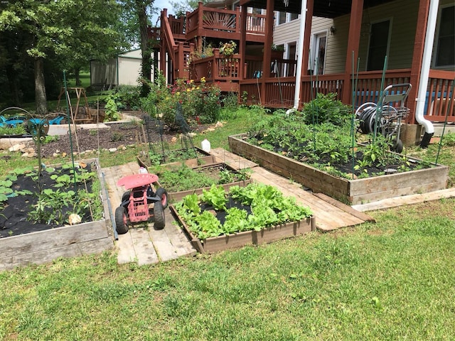 view of yard with a vegetable garden