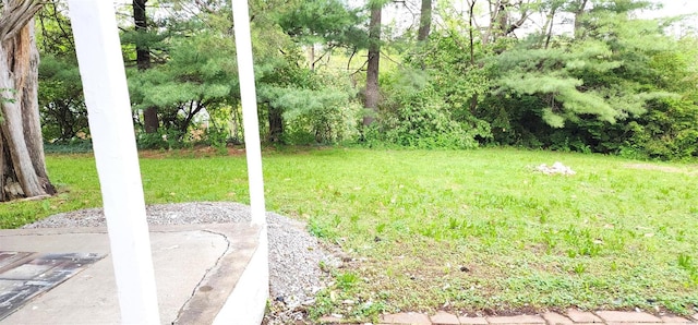 view of yard