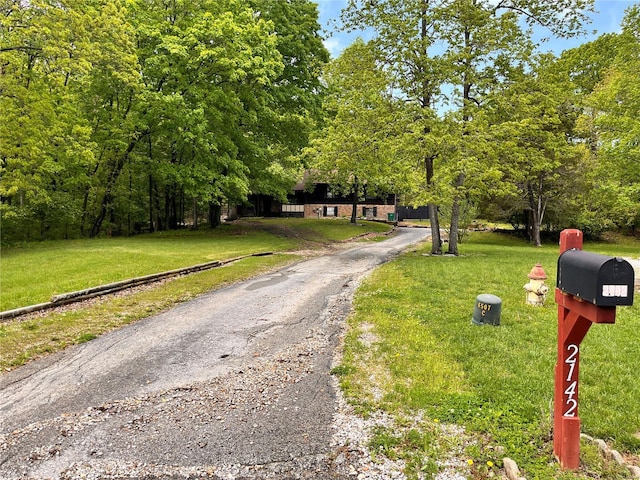 view of street featuring driveway
