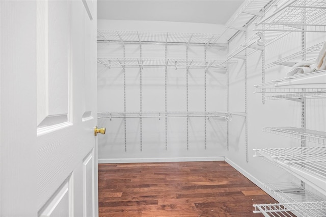 spacious closet featuring wood finished floors