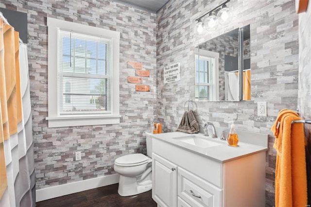 bathroom featuring vanity, wood finished floors, a healthy amount of sunlight, and toilet