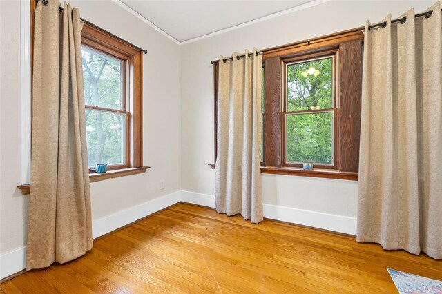 empty room featuring crown molding, baseboards, and a wealth of natural light