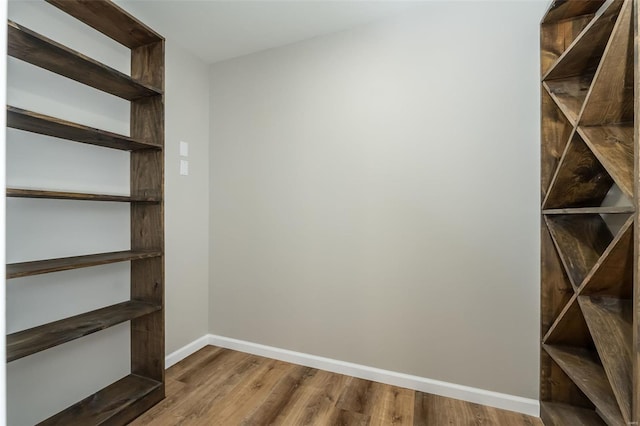 interior space with wood finished floors
