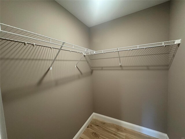 walk in closet with wood finished floors
