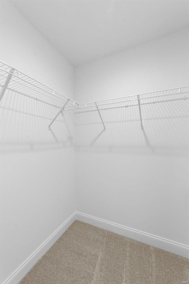 walk in closet featuring light carpet