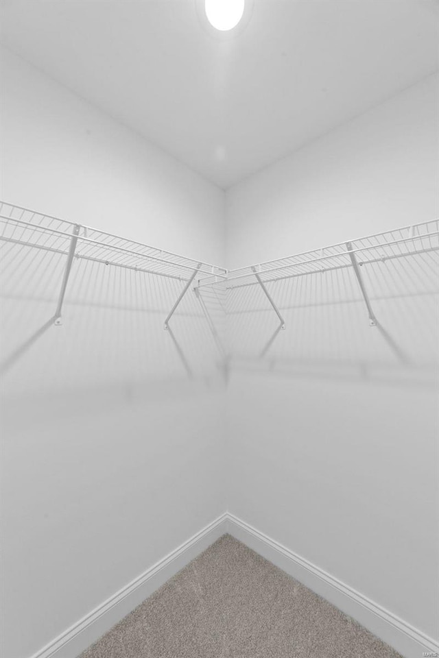 spacious closet with carpet