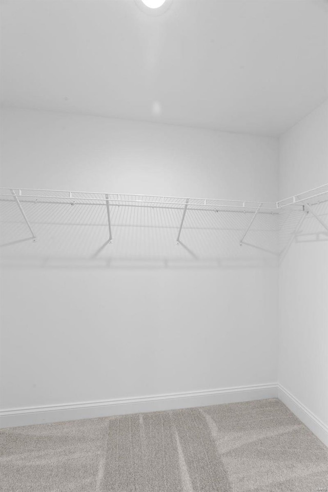 spacious closet with carpet