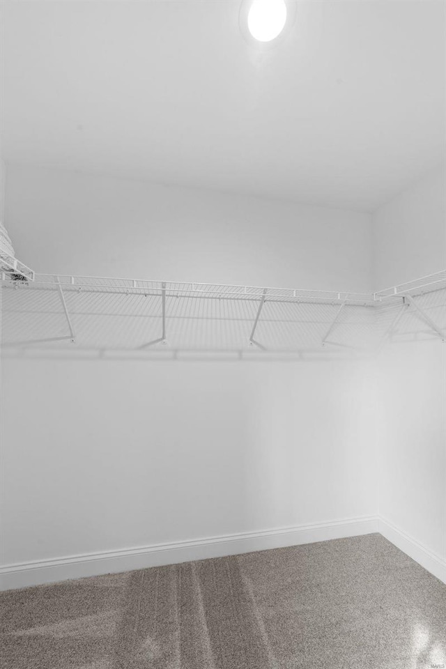 walk in closet featuring carpet