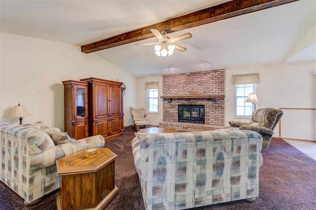 living area with a ceiling fan, a wealth of natural light, lofted ceiling with beams, and dark carpet