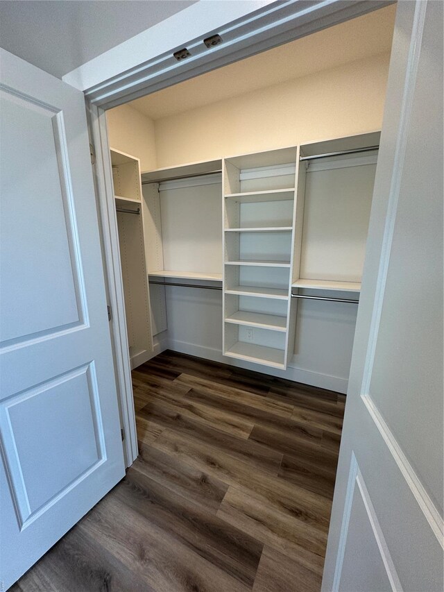 spacious closet with dark wood-style flooring