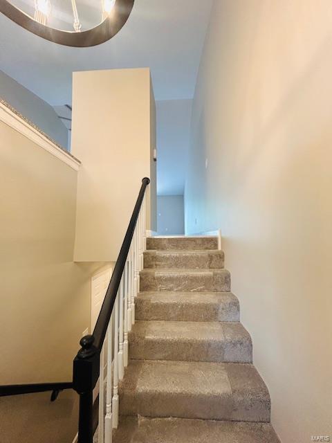 staircase with carpet