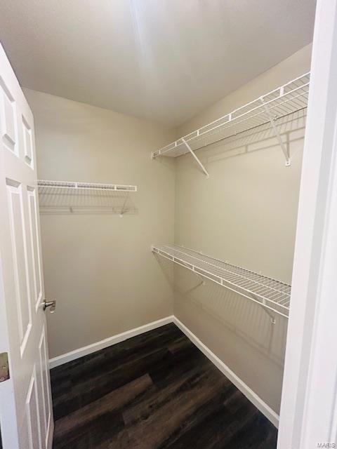 spacious closet with dark wood-style floors