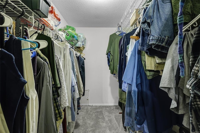 walk in closet with carpet