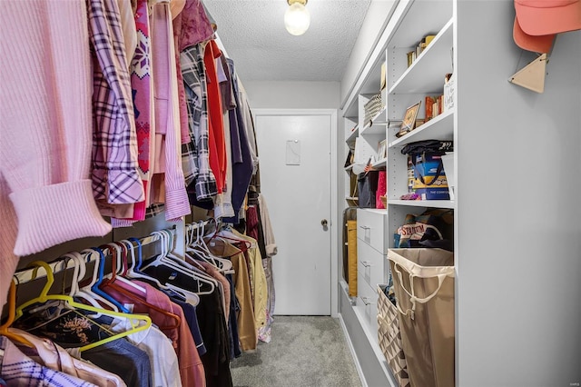 spacious closet with carpet flooring